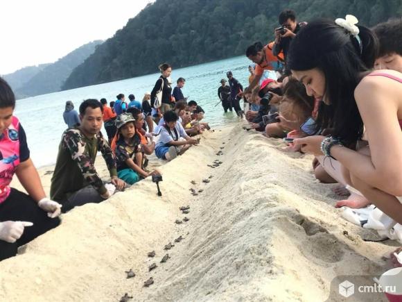 Канал телеграмм Thai_Lena про путешествия Дорогие друзья! приглашаем Вас посетить мой телеграмм кана. Фото 2.