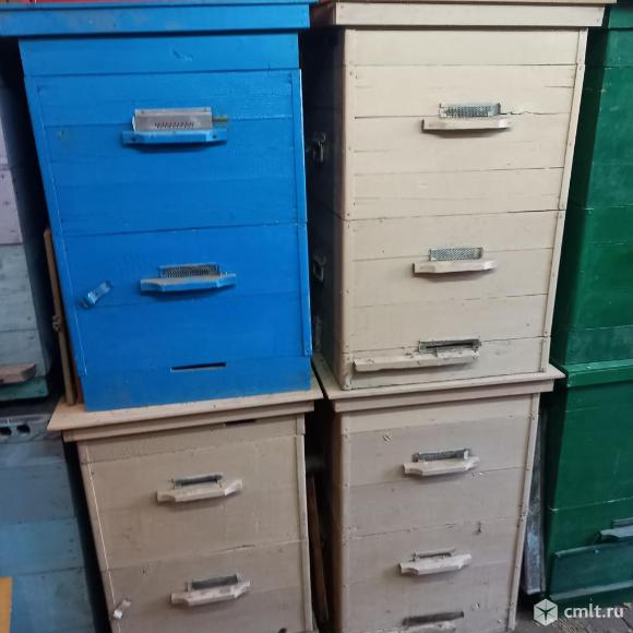 Ульи. Фото 1.