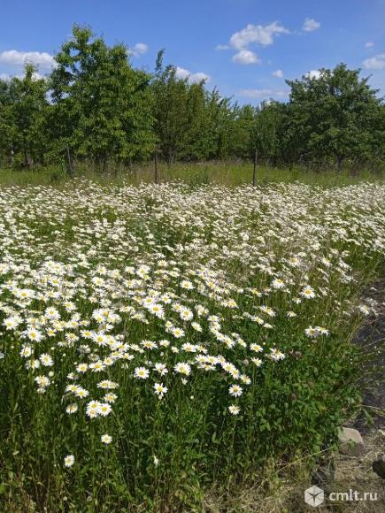 Дача 45 кв.м. Фото 1.