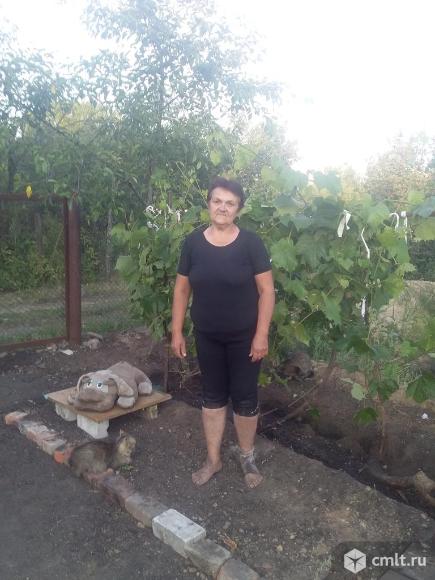 Куплю дом дачу. Фото 1.