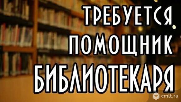 Помощник библиотекаря. Фото 1.