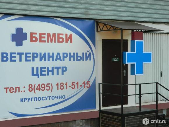 Зоогостиница в Чертаново.. Фото 1.