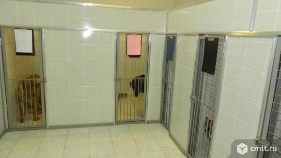 Зоогостиница Бемби.. Фото 1.