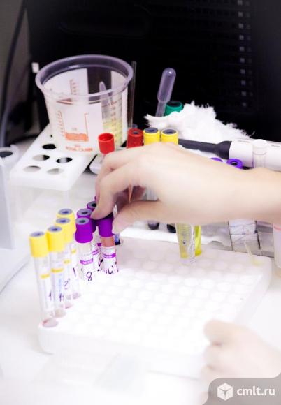 Ветеринарная лаборатория Бемби. Фото 1.