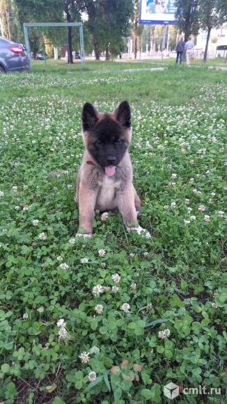 Продам. Фото 2.