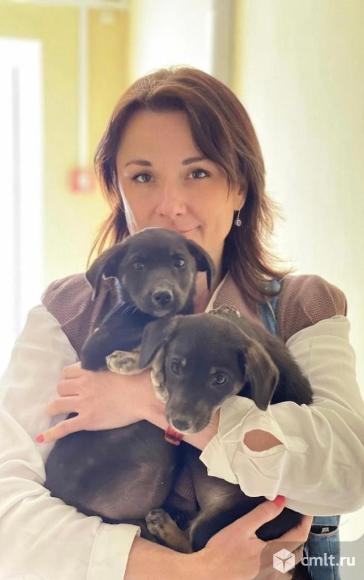 Белка и Стрелка ищут дом