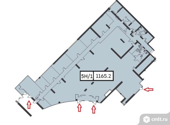 Торговое помещение 1165.2 м2 в аренду. Фото 3.