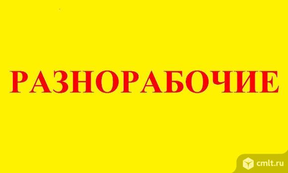 Разнорабочий для заготовки дров требуется. Выплаты дважды в неделю. Фото 1.