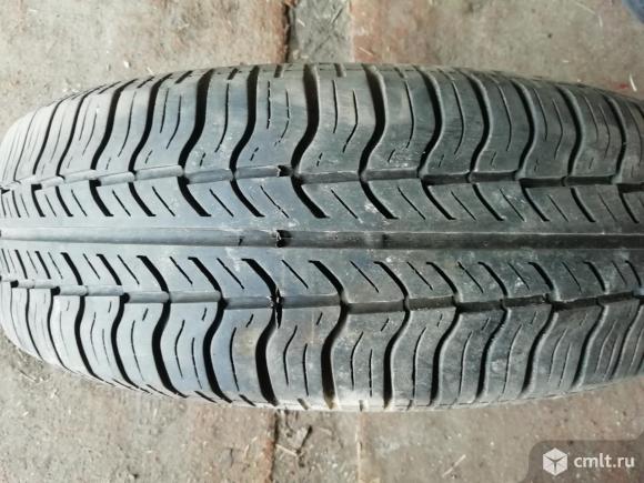 Продам шины 13. Фото 6.
