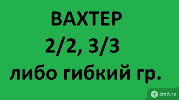 Вахтеры-охранники. Фото 1.