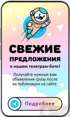 Свежие Объявления Теперь В Telegram!