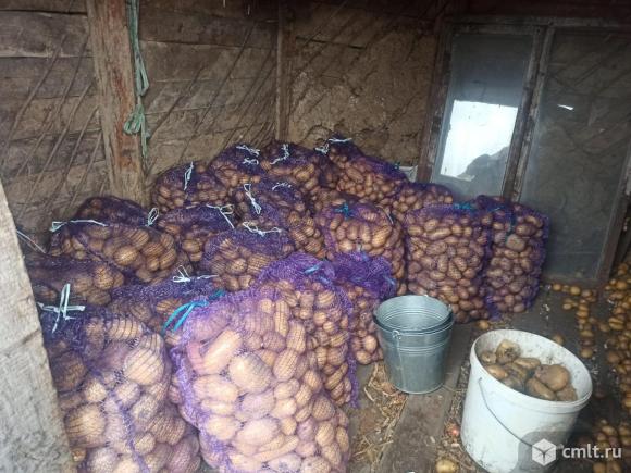 Подробности по телефону. Фото 1.