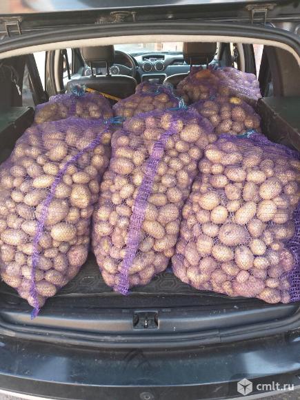 Подробности по телефону. Фото 2.