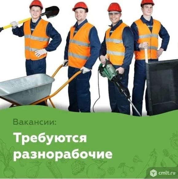 ежедневные выплаты, требуются разнорабочий-(е). Фото 1.