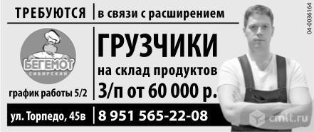 камелот воронеж работа грузчик. камелот воронеж работа грузчик. камелот воронеж работа грузчик. требуются грузчики с ежедневной оплатой. камелот воронеж работа грузчик.