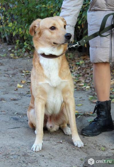 Ричард ищет дом. Фото 1.