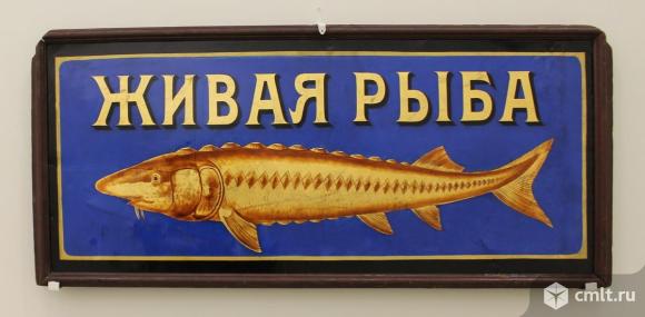 Продавец для торговли живой рыбой на рынках г. Воронеж. Фото 1.