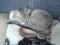 Миниатюрная кошечка Шейла. Фото 4.
