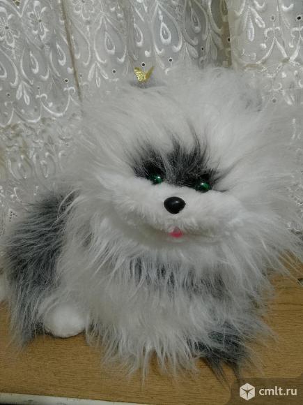 Собака длинношерстная большая. Фото 5.