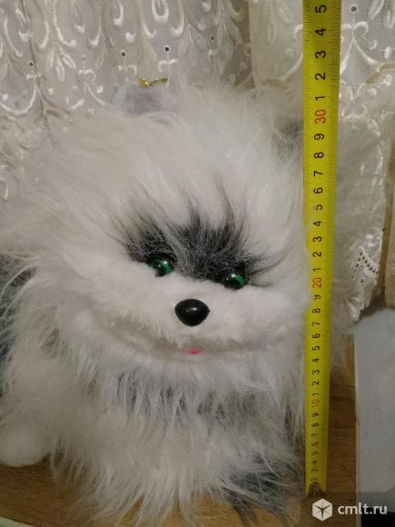 Собака длинношерстная большая. Фото 1.