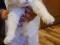 Белоснежная красавица-кошка в хорошие руки. Фото 2.