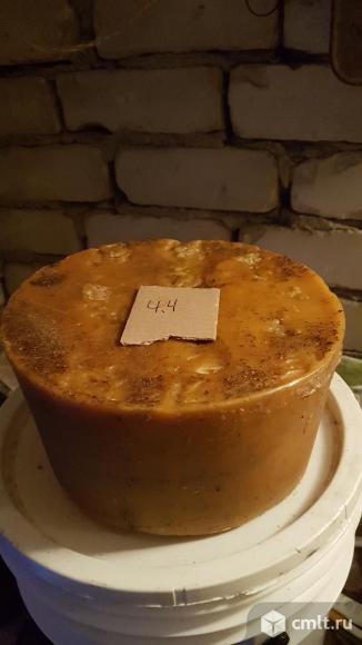 Воск пчелиный. Фото 3.