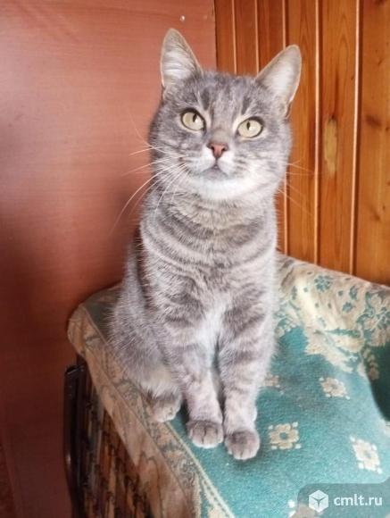 Сонечка в добрые руки. Фото 1.