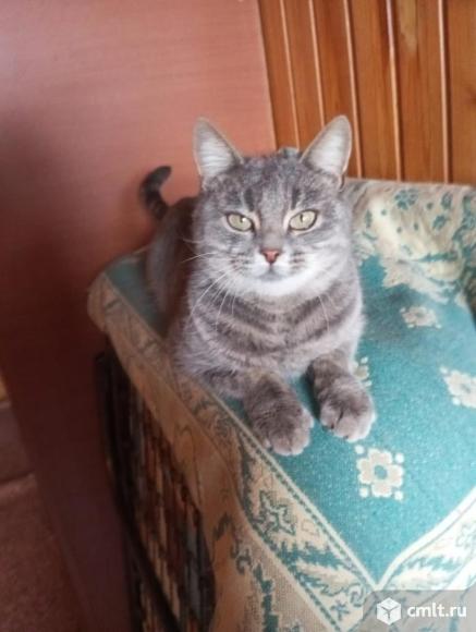 Сонечка в добрые руки. Фото 3.