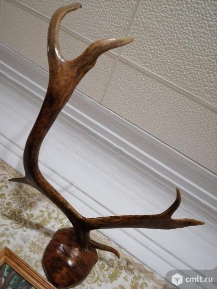 Всё для дома и дачи. Фото 1.