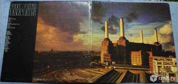 Грампластинка (винил). Гигант [12" LP]. Pink Floyd. Animals. 1977. Harvest. SHVL 815. Великобритания. Фото 1.