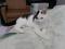 Черно-белый котенок - подросток в добрые руки. Фото 4.