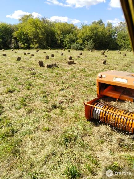 Продам  свежее, ароматное сено. Укос этого года.. Фото 1.