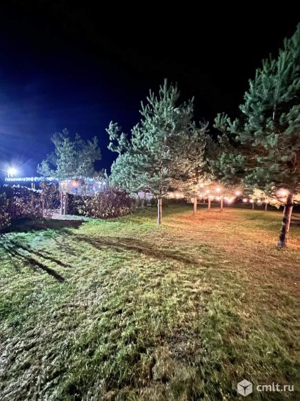 сосновый бор парк отель логотип. доска объявлений сосновый бор ленинградская область. сосновый бор доска объявлений. весь сосновый бор справочник справочник. объявления сосновый бор.