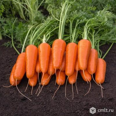 Быстрая доставка капусты, картошки, свеклы и моркови по Алтаю. Фото 1.