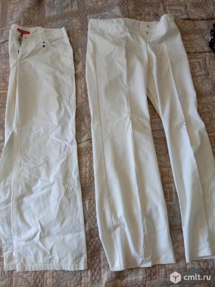 Брюки. Фото 1.