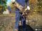 Расчистка заросших участков. Вспашка земли мотоблоком. Фото 6.
