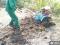 Расчистка заросших участков. Вспашка земли мотоблоком. Фото 11.