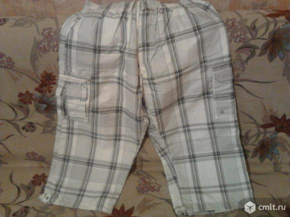 Бриджи мужские. Фото 1.