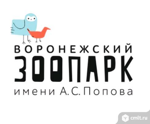 Механик Воронежскому зоопарку (ул. П. Осипенко, №6а). Фото 1.