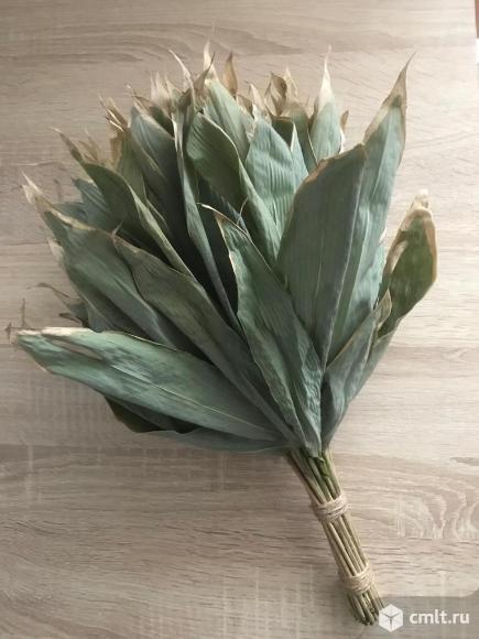 Банные веники из курильского бамбука. Фото 1.