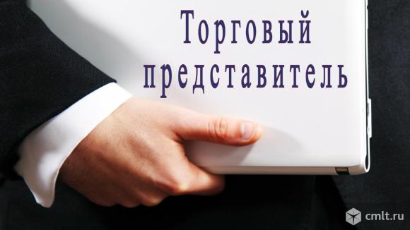 Торговый представитель. Представитель торговый