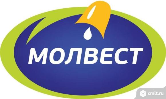 Укладчик-упаковщик. Фото 1.