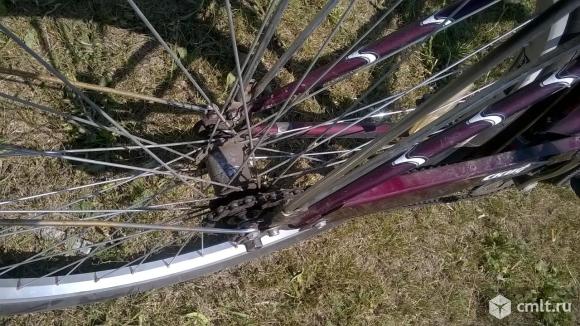 Forward скиф 28. Фото 12.