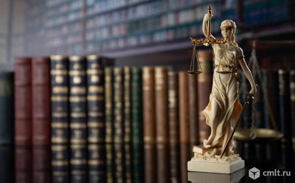 Услуги арбитражного юриста в Москве. Фото 1.