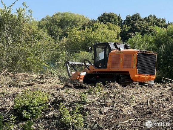 Гусеничный мульчер, расчистка от деревьев. Фото 3.