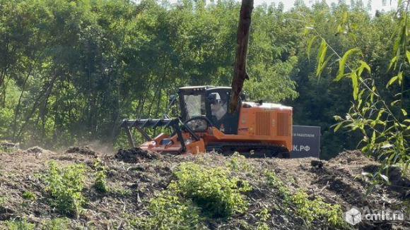 Гусеничный мульчер, расчистка от деревьев. Фото 2.