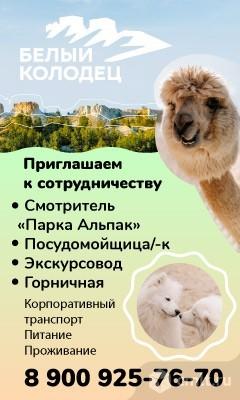 Посудомойщица/ посудомойщик требуется