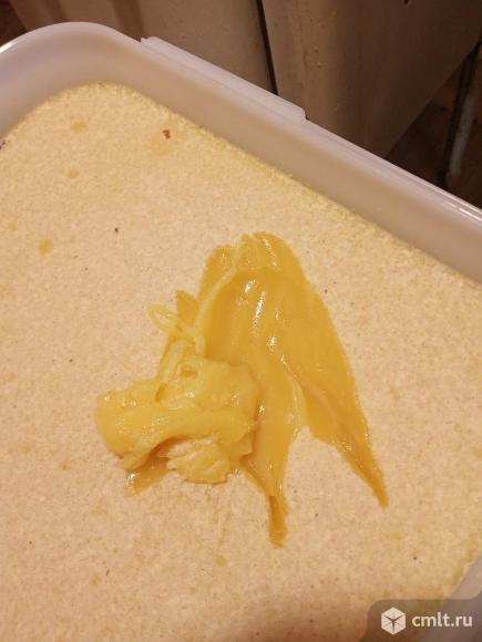 Мёд настоящий.. Фото 1.