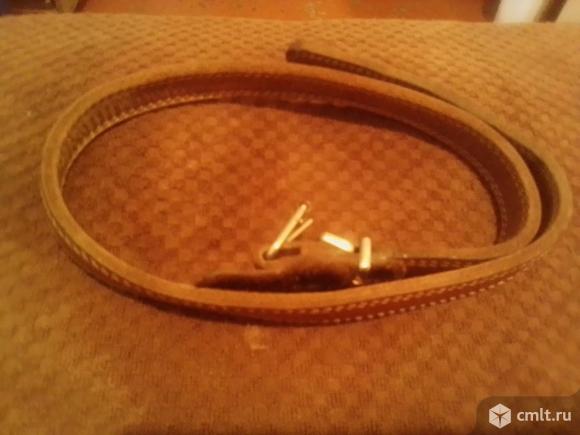 Ошейник. Фото 1.