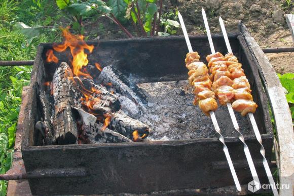 Дрова фруктовые для шашлыка. Фото 1.